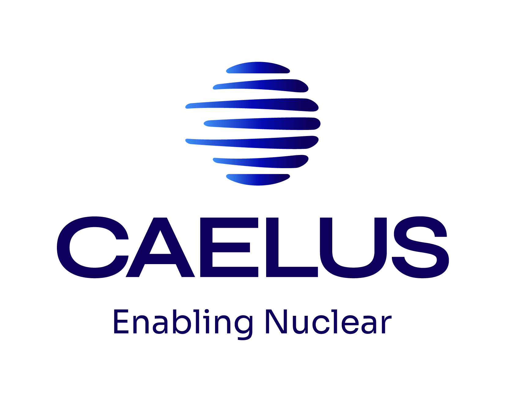 CAELUS S.R.L. logo